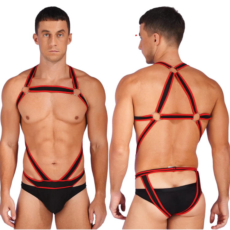 Lingerie Wrestler's Erotic Bulge Singlet