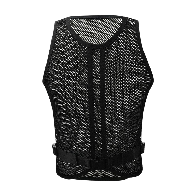 Marry The Night Mesh Crop Top