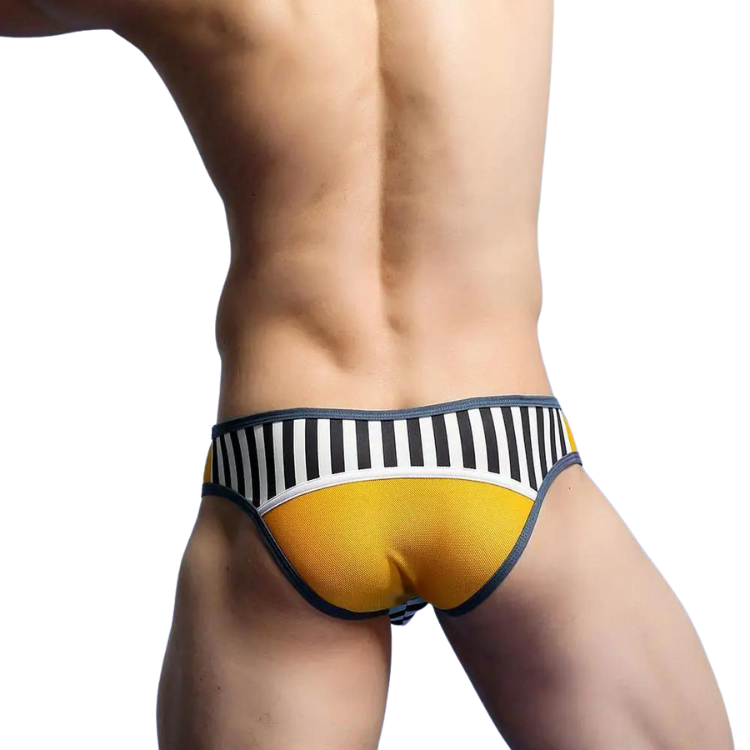 No. 56 Sporty Briefs Success