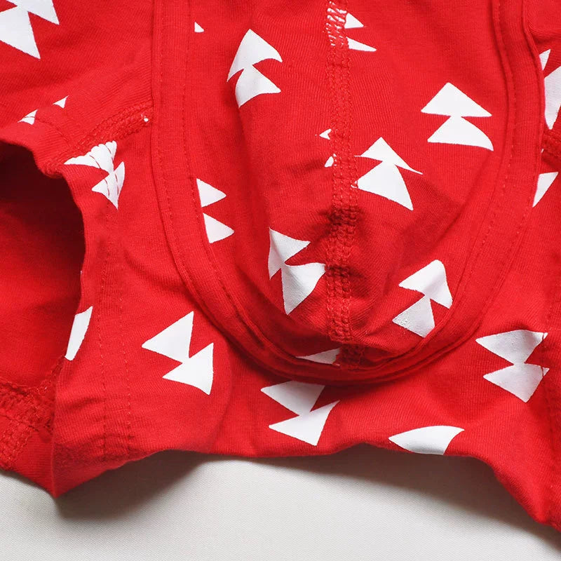 Festive Christmas Tartan Boxer Briefs