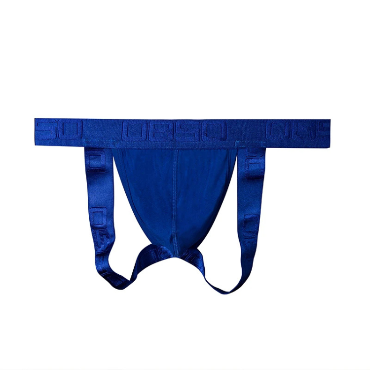 ORLVS Hue Jockstrap