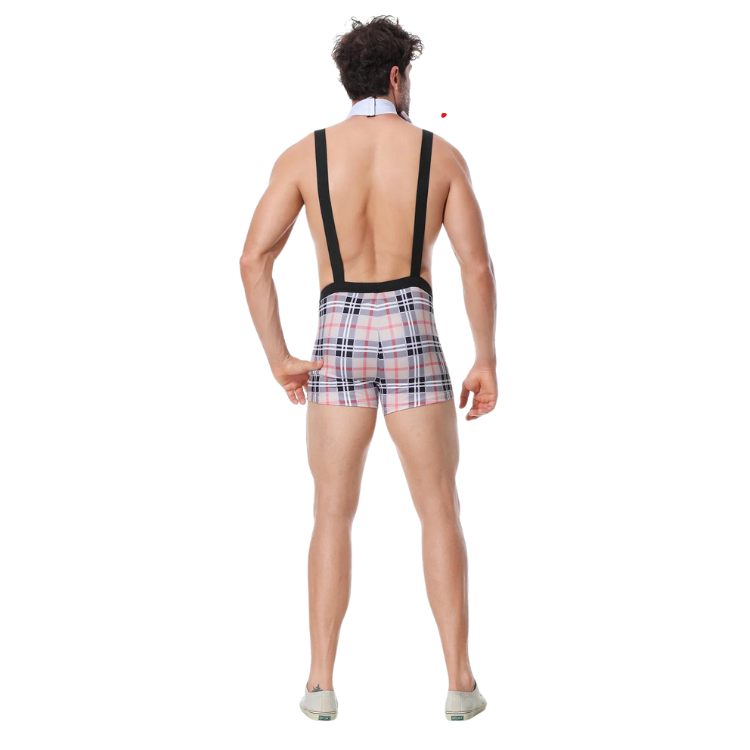 Playful Plaid Performer Costume