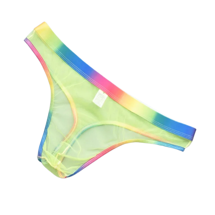 Rainbow Daddy Dreams Briefs