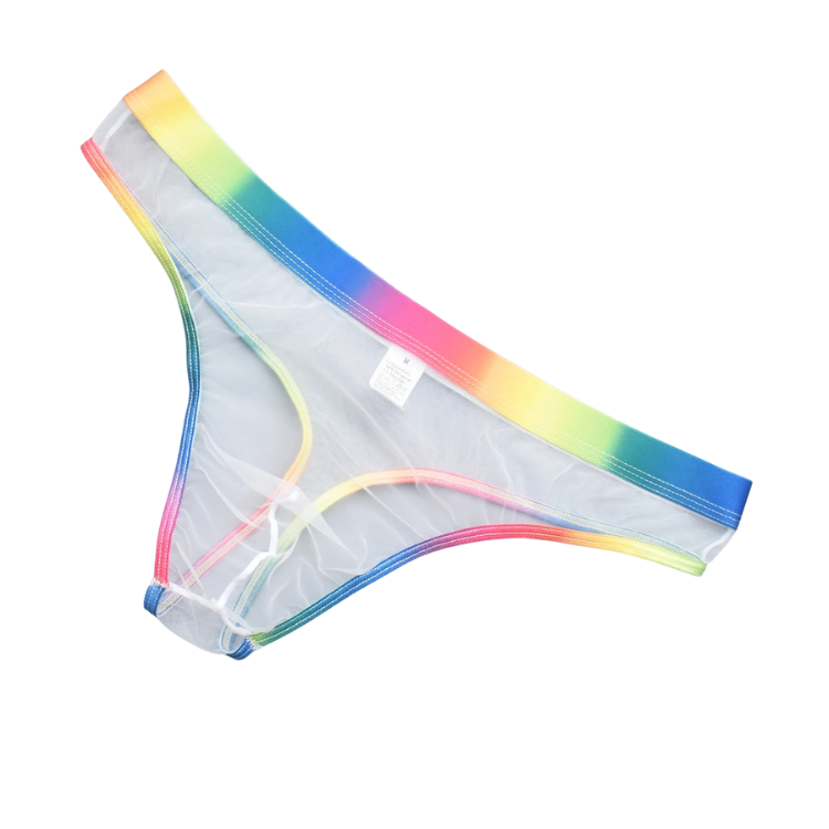 Rainbow Daddy Dreams Briefs