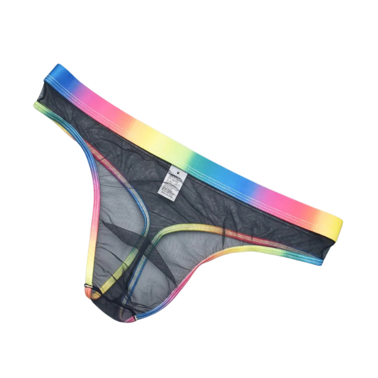 Rainbow Daddy Dreams Briefs
