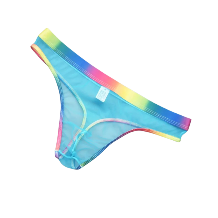 Rainbow Daddy Dreams Briefs