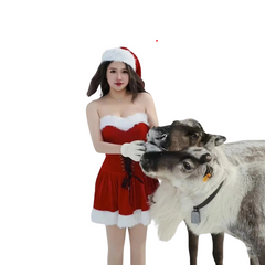 Red Temptation Christmas Cosplay Set