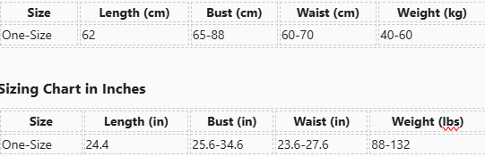 Red Temptation Christmas Cosplay Set