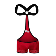 Kink Wrestling Dream Mesh Bodysuit