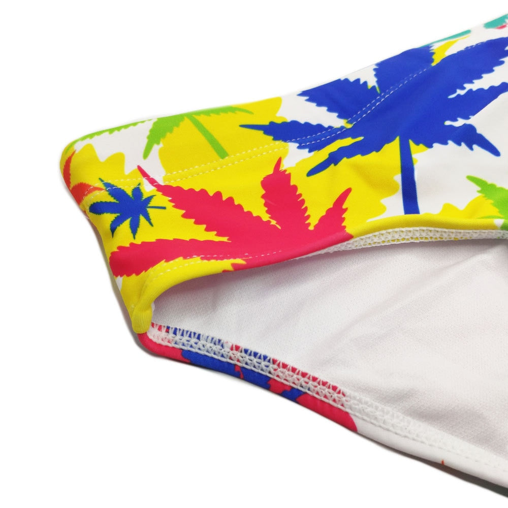 Rainbow Rapture Swim Briefs