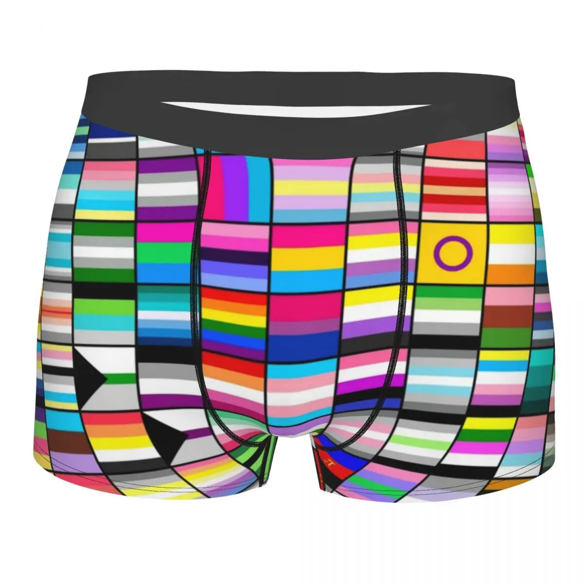 LGBT Flags Boxer Briefs