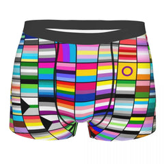 LGBT Flags Boxer Briefs