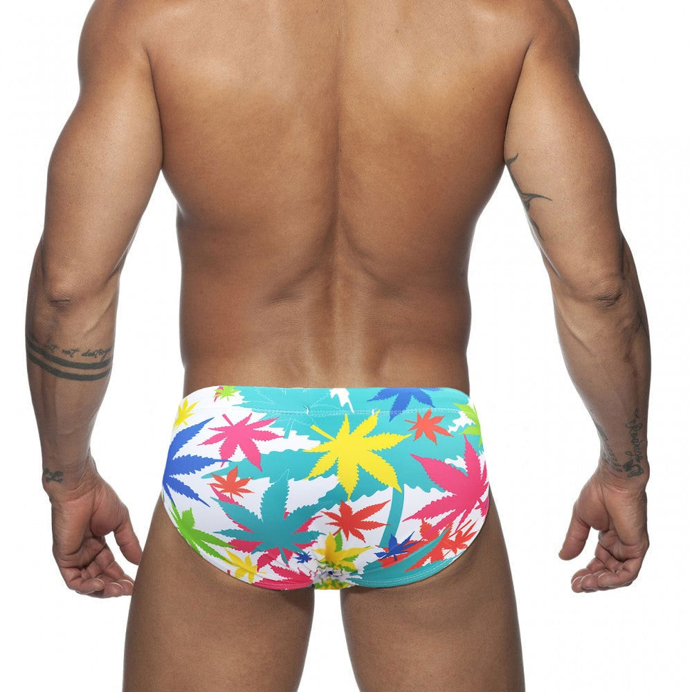Rainbow Rapture Swim Briefs