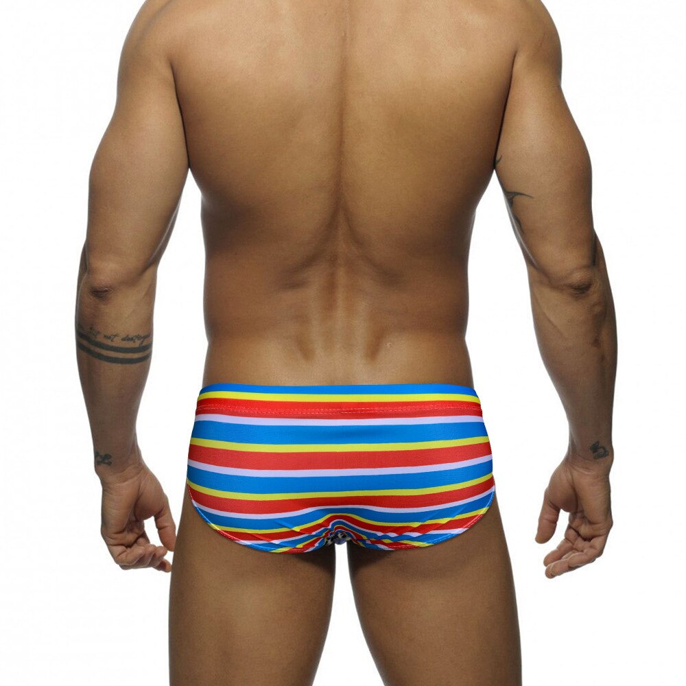 Horizon Hymn Swim Briefs