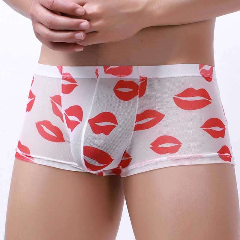 Kiss Me All Over Translucent Mesh Boxer Briefs