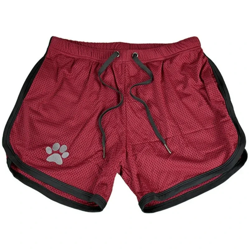 Bear Pride Paw Shorts