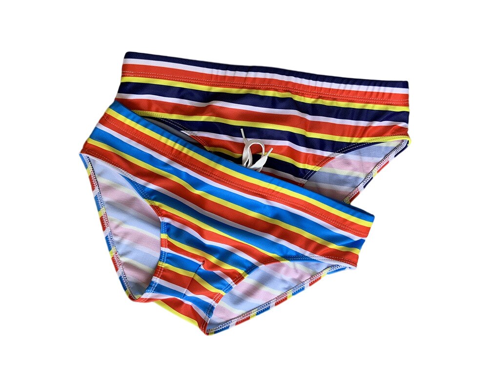Horizon Hymn Swim Briefs