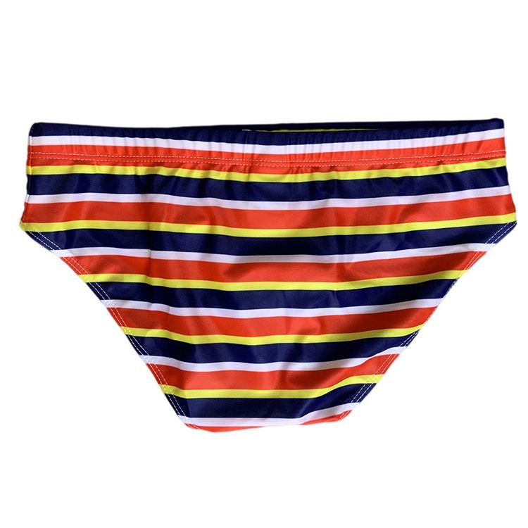 Horizon Hymn Swim Briefs