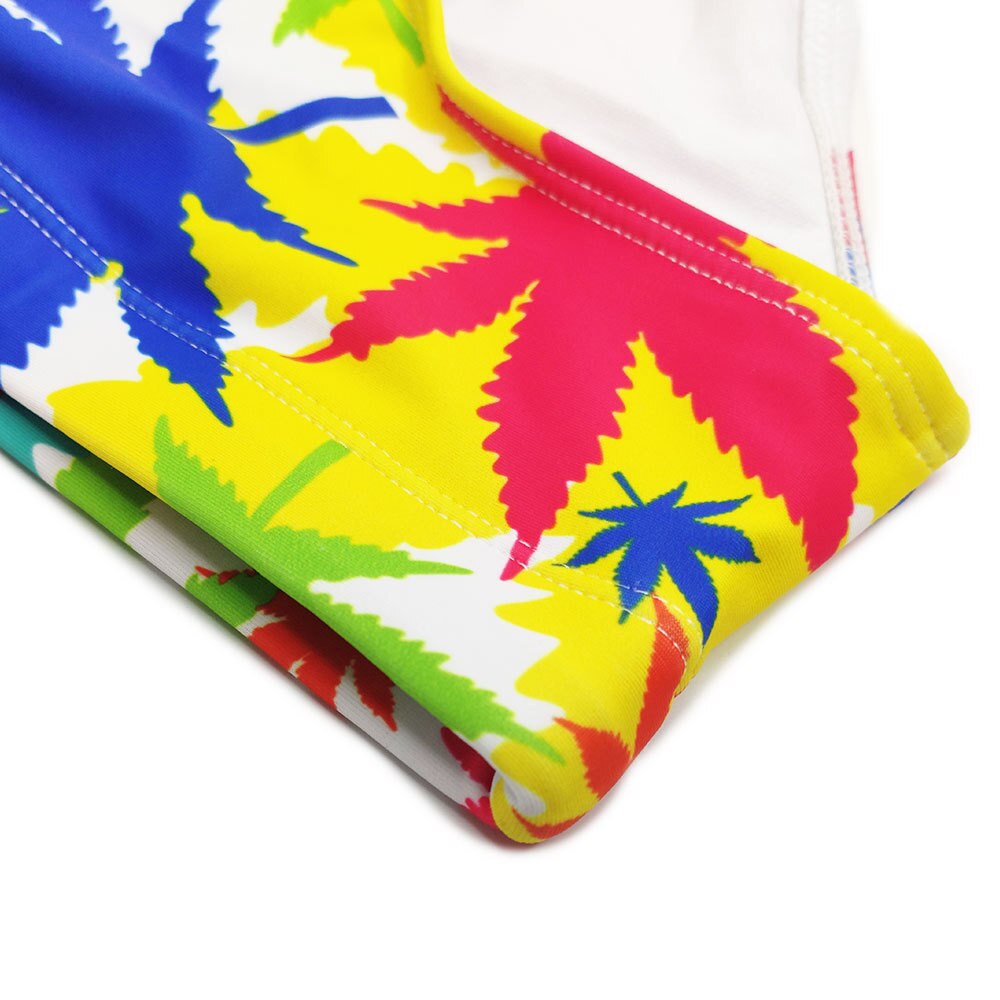 Rainbow Rapture Swim Briefs