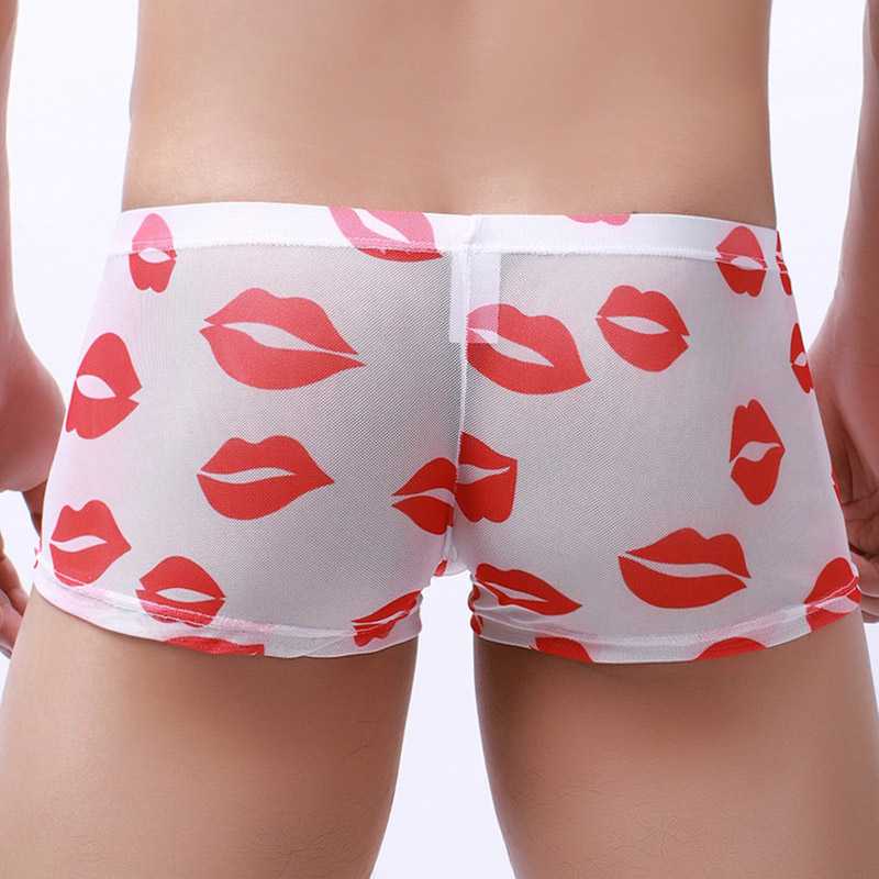 Kiss Me All Over Translucent Mesh Boxer Briefs