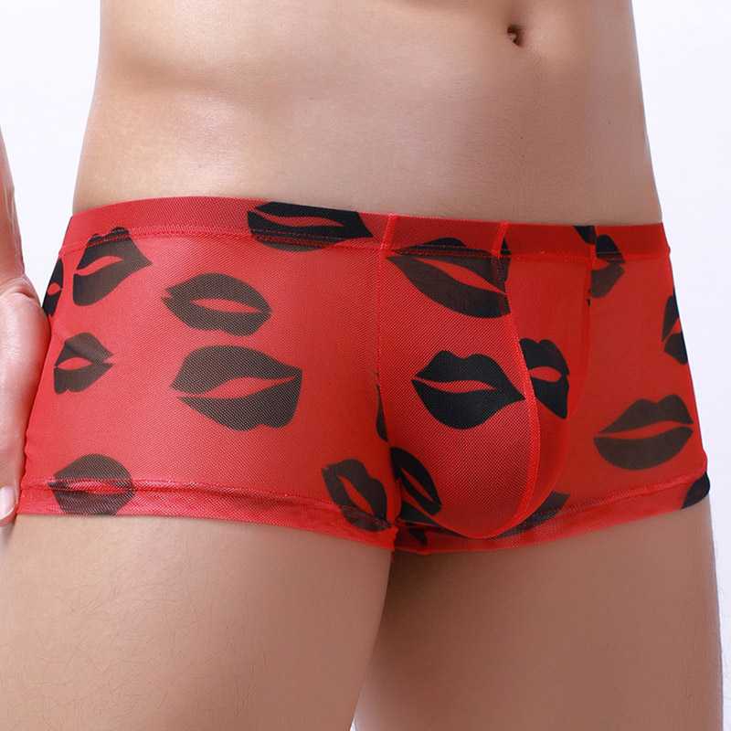 Kiss Me All Over Translucent Mesh Boxer Briefs