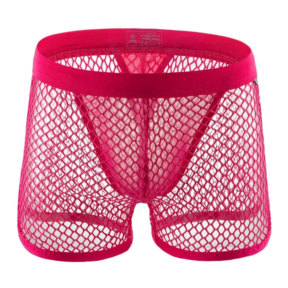 AllureFit Sexy Mesh Boxers Briefs