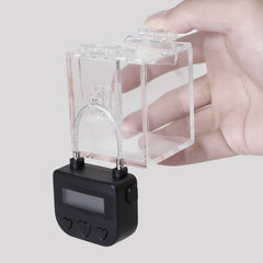 Deniable Pleasure Chastity Key Safe