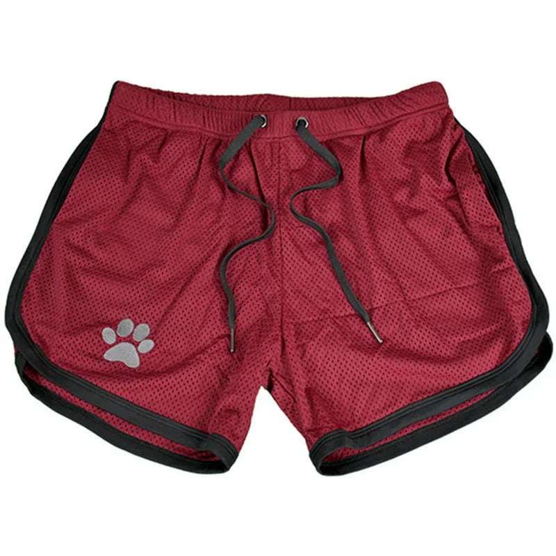 Bear Pride Paw Shorts