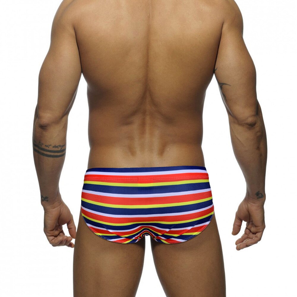 Horizon Hymn Swim Briefs
