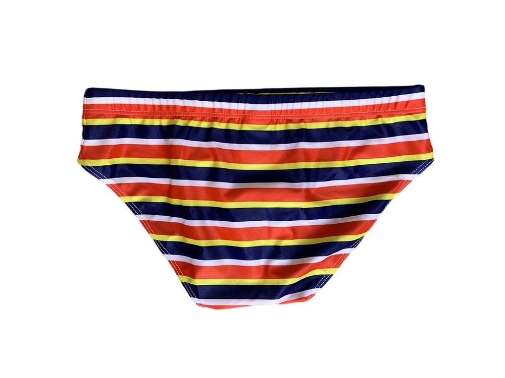 Horizon Hymn Swim Briefs