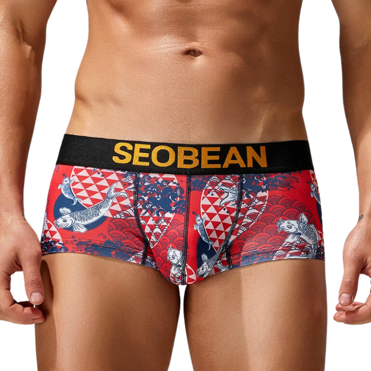 SEOBEAN Festive Fish Boxer Briefs