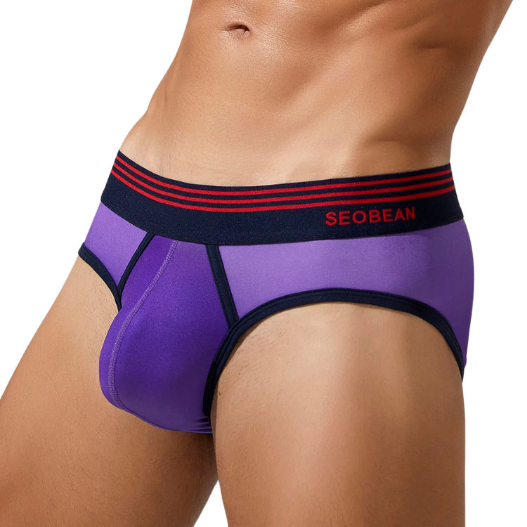 SEOBEAN Ombre Luxe Boxer Shorts