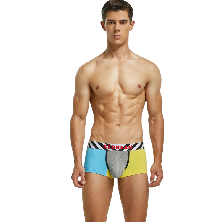 SEOBEAN PostModernist Construction Boxers