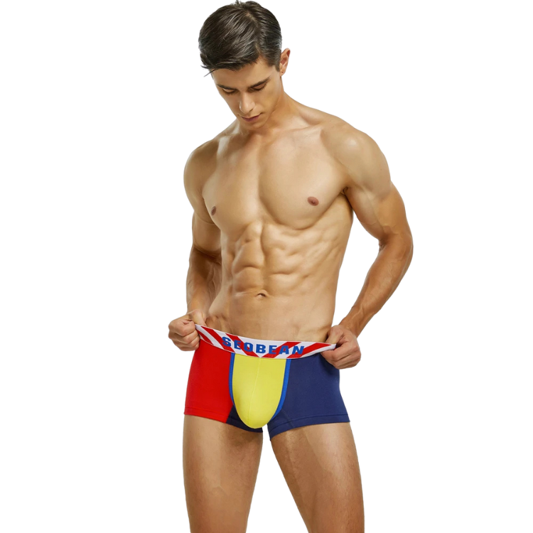 SEOBEAN PostModernist Construction Boxers