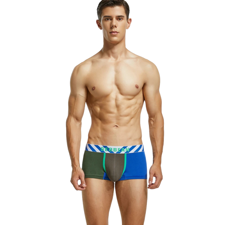 SEOBEAN PostModernist Construction Boxers