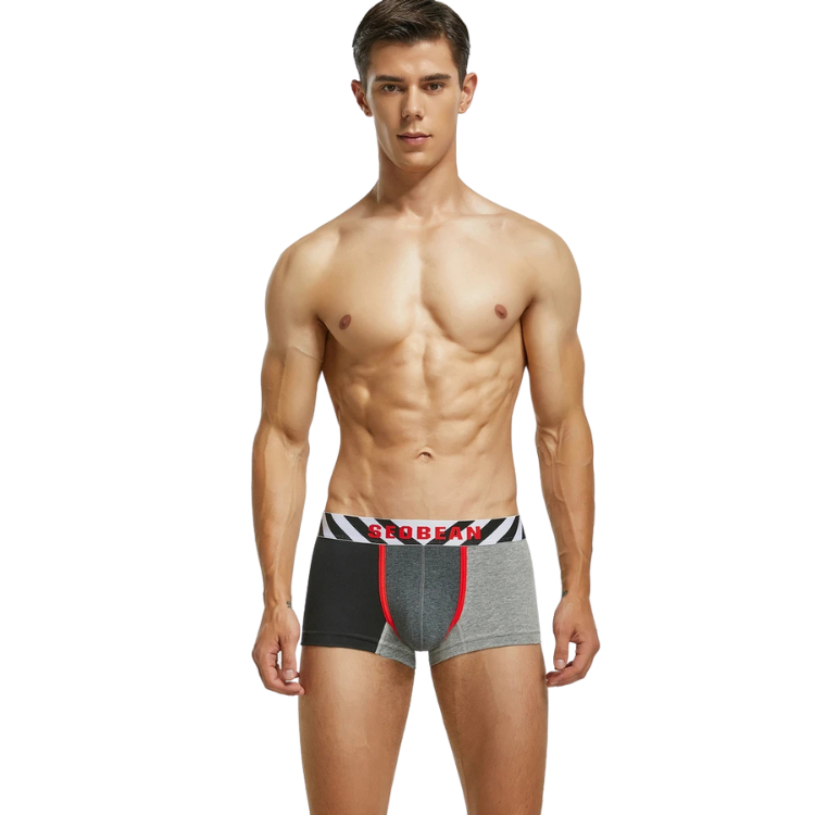 SEOBEAN PostModernist Construction Boxers