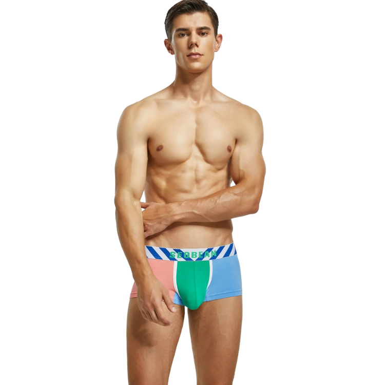 SEOBEAN PostModernist Construction Boxers