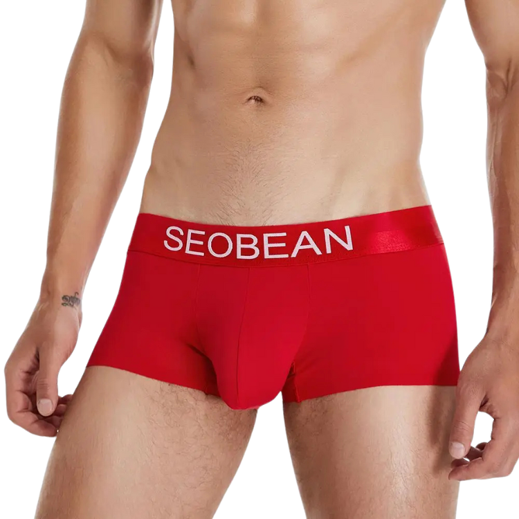 SEOBEAN Ultra Chill Ice Silk Boxer Briefs