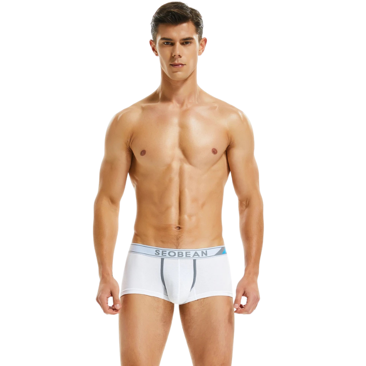 SEOBEAN Ultra Comfort Cotton Boxer Briefs