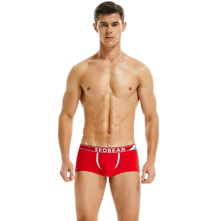 SEOBEAN Ultra Comfort Cotton Boxer Briefs