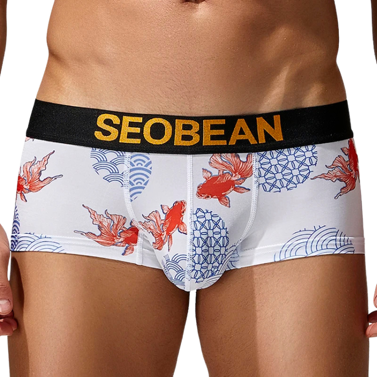 SEOBEAN Year of the Pisces Briefs