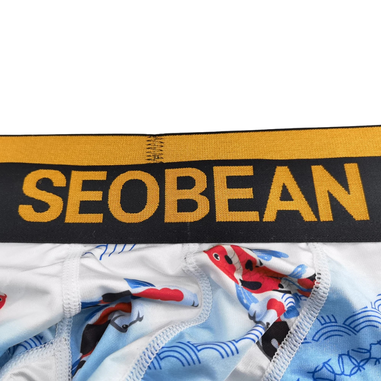 SEOBEAN Year of the Pisces Briefs