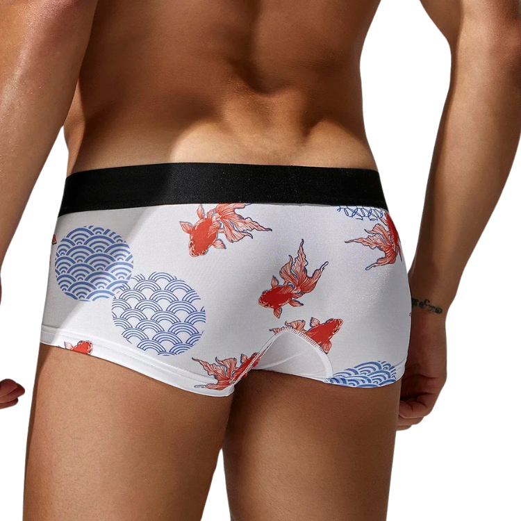 SEOBEAN Year of the Pisces Briefs