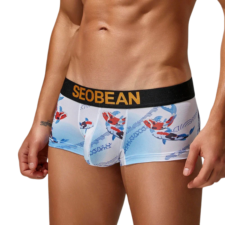 SEOBEAN Year of the Pisces Briefs