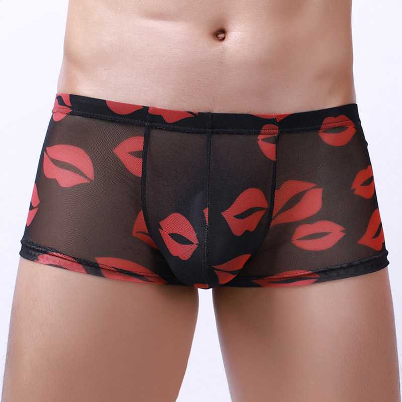 Kiss Me All Over Translucent Mesh Boxer Briefs
