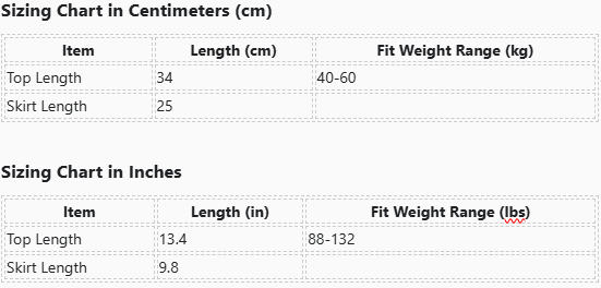 Santa's Camgirl Chic Xmas Costume