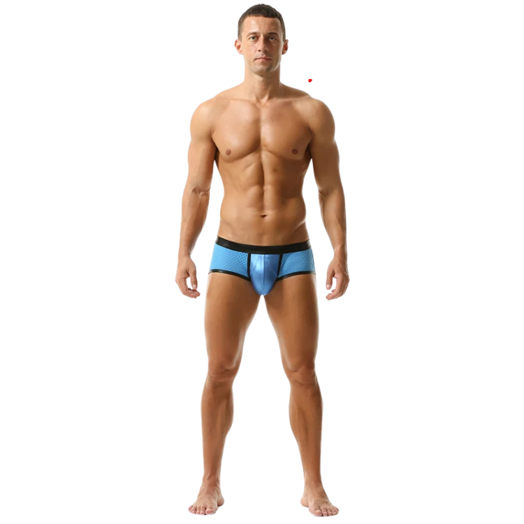 Sassy & Shiny Boxer Briefs