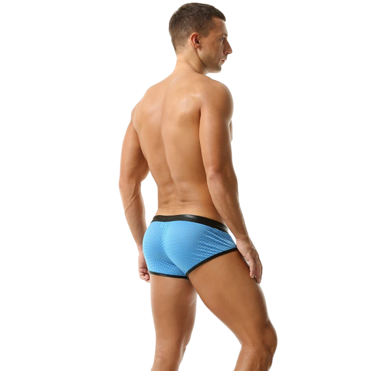 Sassy & Shiny Boxer Briefs