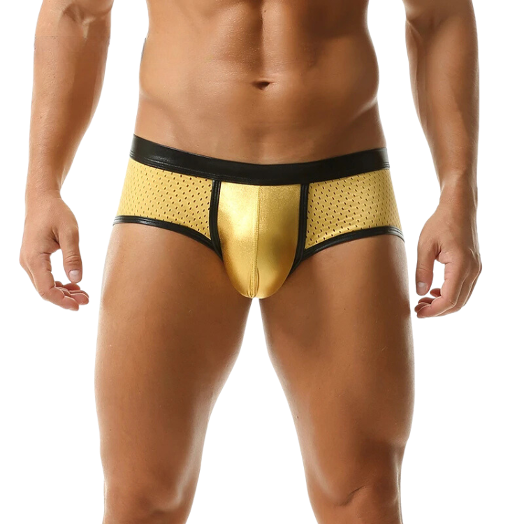 Sassy & Shiny Boxer Briefs
