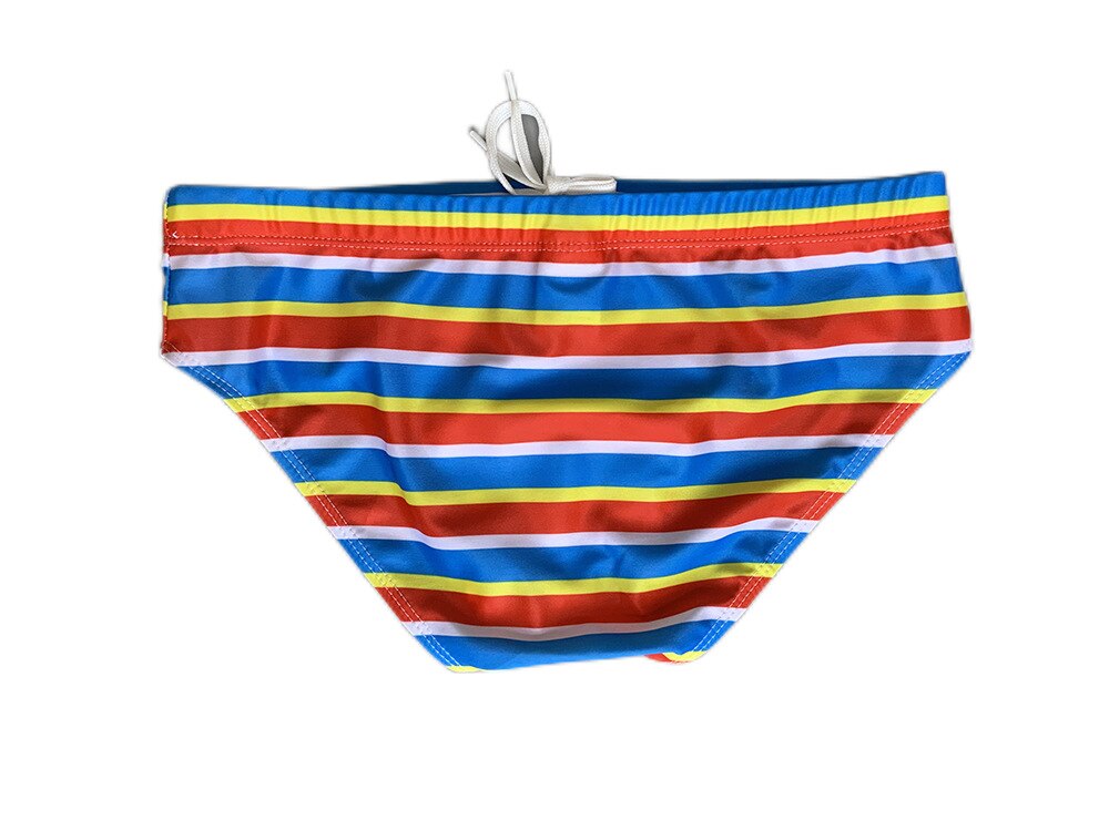 Horizon Hymn Swim Briefs